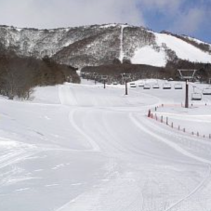 注目の 宮城蔵王 白石スキー場 リフト券 2枚 公式の